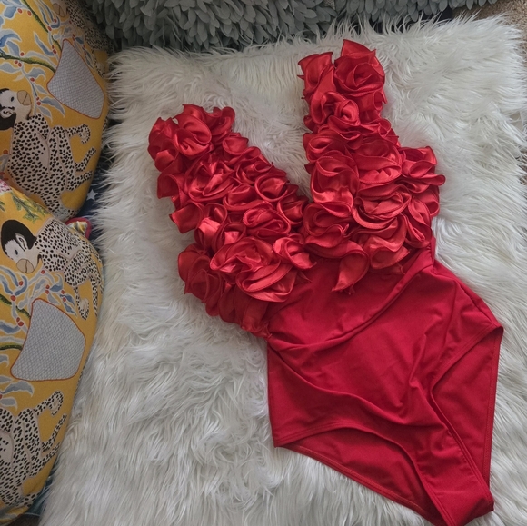 Red BodySuit & Matching Skirt - Picture 3 of 6